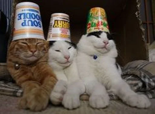 😺 Стикер «cat_ip» для Telegram