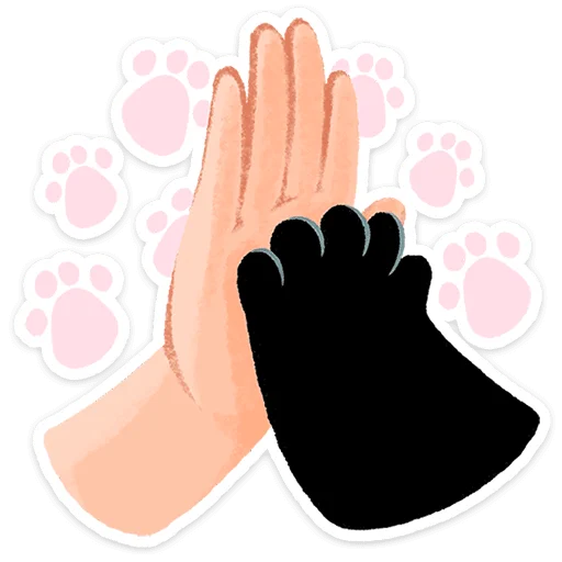 🐱 Стикер «Кот Кефир» для Telegram