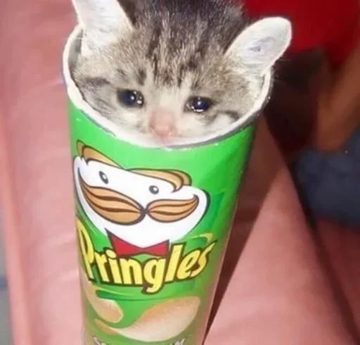 😧 Стикер «Pussys» для Telegram