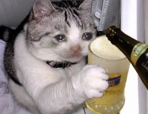 😪 Стикер «Pussys» для Telegram