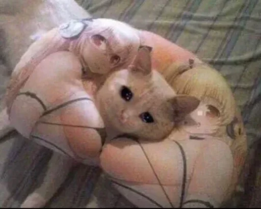 🥺 Стикер «Pussys» для Telegram
