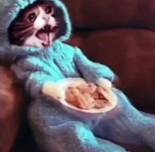 😫 Стикер «Pussys» для Telegram