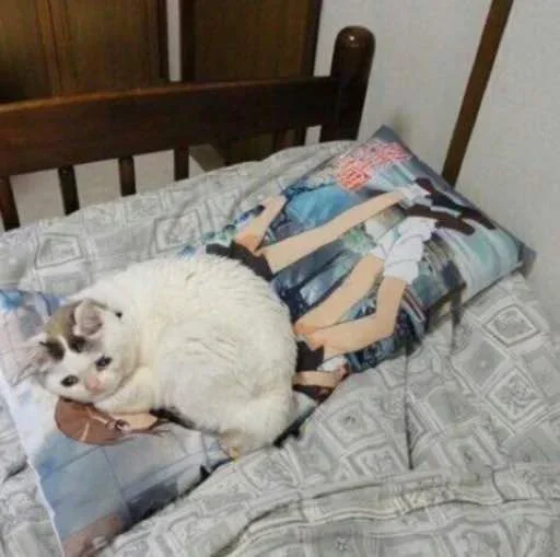 😔 Стикер «Pussys» для Telegram