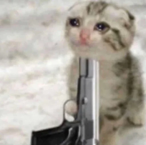 😭 Стикер «Pussys» для Telegram