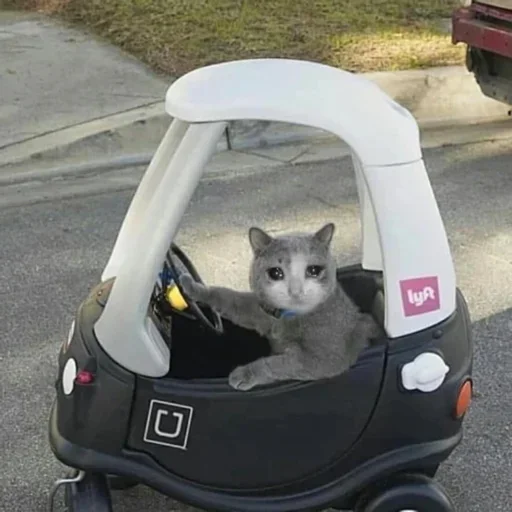 😟 Стикер «Pussys» для Telegram
