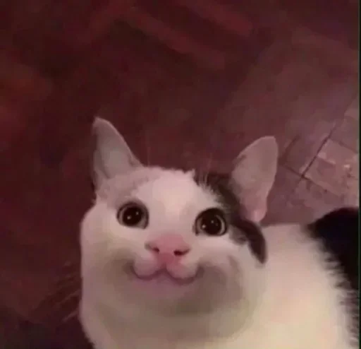 ☺ Стикер «Pussys» для Telegram