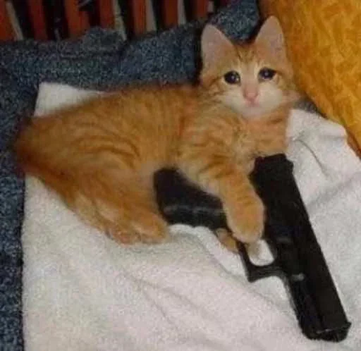 🔫 Стикер «Pussys» для Telegram