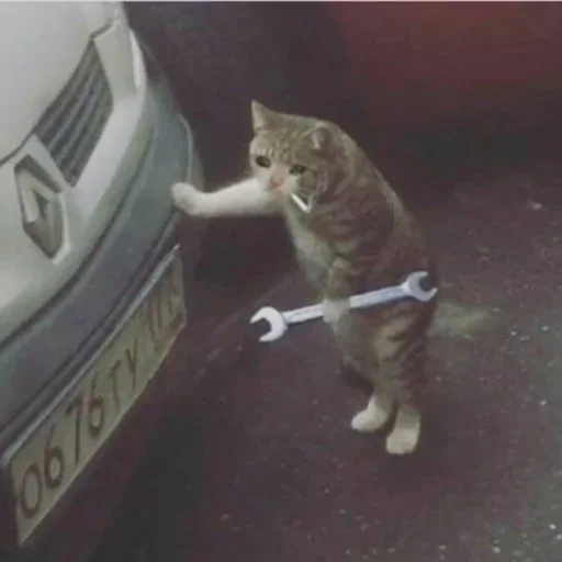 😅 Стикер «Pussys» для Telegram