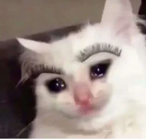 😔 Стикер «Pussys» для Telegram