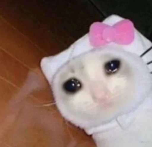🙁 Стикер «Pussys» для Telegram