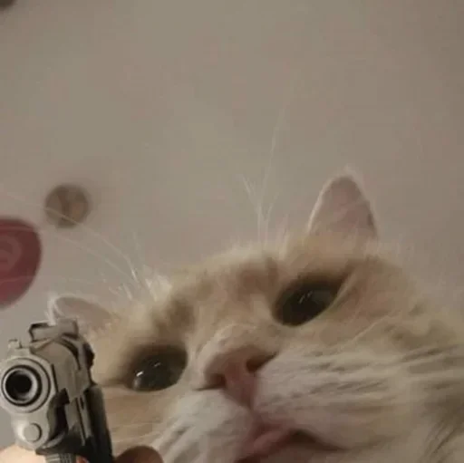 😡 Стикер «Pussys» для Telegram