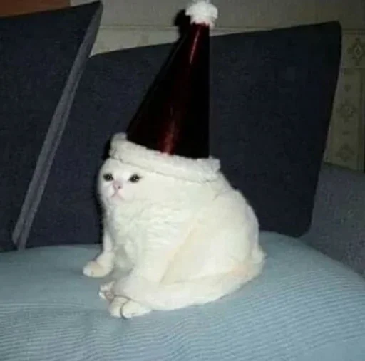 🙁 Стикер «Pussys» для Telegram
