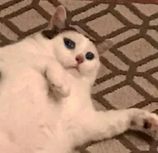 😶 Стикер «Pussys» для Telegram