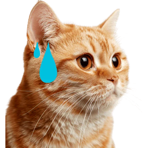 😥 Стикер «Кошачий отряд» для Telegram