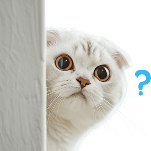 🤨 Стикер «Кошачий отряд» для Telegram