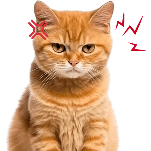 😤 Стикер «Кошачий отряд» для Telegram
