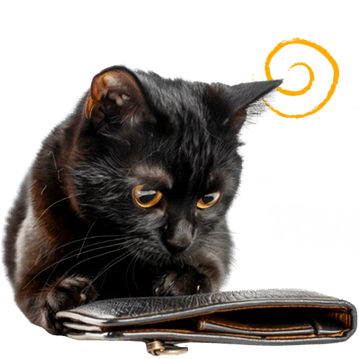 💵 Стикер «Кошачий отряд» для Telegram