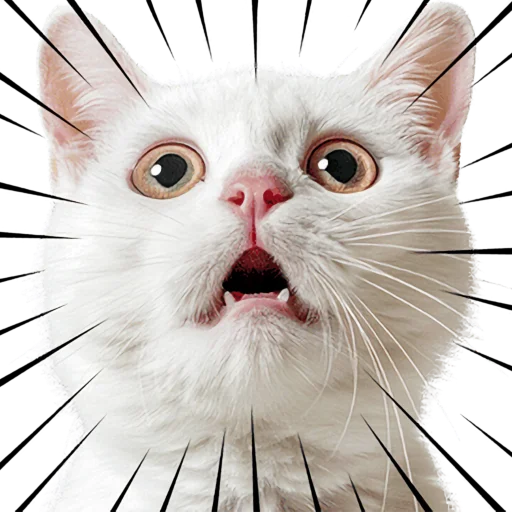 😳 Стикер «Кошачий отряд» для Telegram
