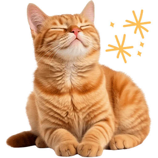 ☺️ Стикер «Кошачий отряд» для Telegram