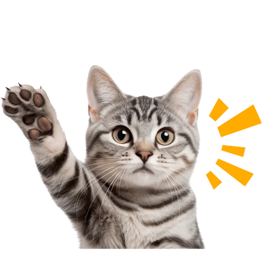 Стикерпак Кошачий отряд для Telegram