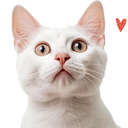 😍 Стикер «Кошачий отряд» для Telegram