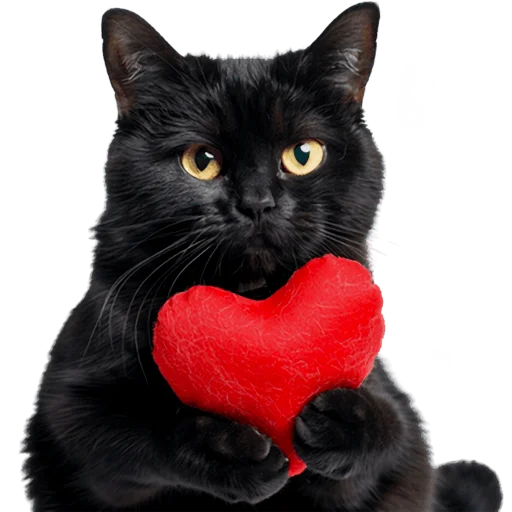 😍 Стикер «Кошачий отряд» для Telegram