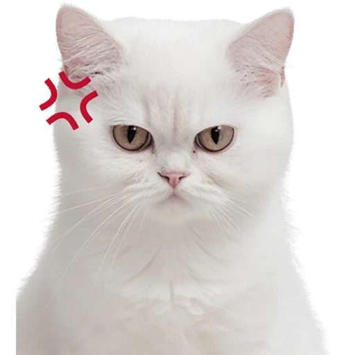 😤 Стикер «Кошачий отряд» для Telegram