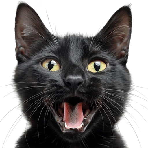 😀 Стикер «Кошачий отряд» для Telegram