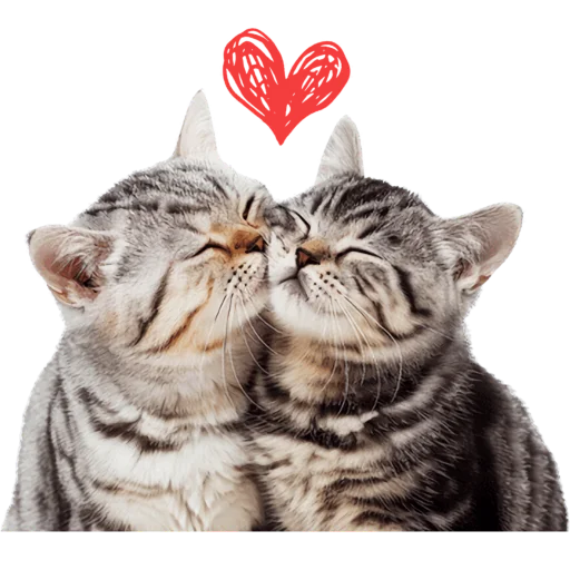 😘 Стикер «Кошачий отряд» для Telegram