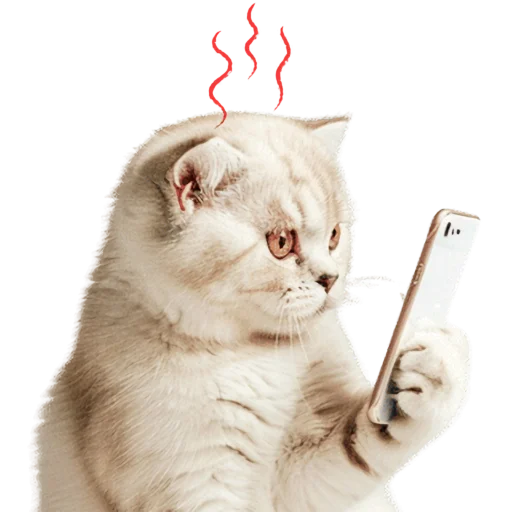 😤 Стикер «Кошачий отряд» для Telegram