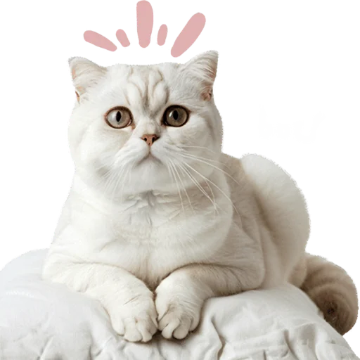 😳 Стикер «Кошачий отряд» для Telegram
