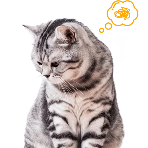 🤨 Стикер «Кошачий отряд» для Telegram