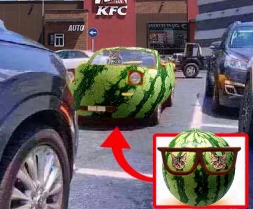 🍉 Стикер «Cat And Watermelon» для Telegram