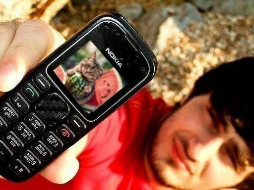 🍉 Стикер «Cat And Watermelon» для Telegram