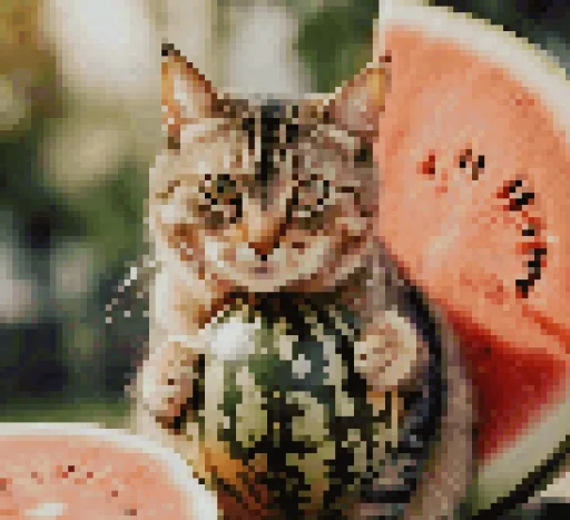 🍉 Стикер «Cat And Watermelon» для Telegram