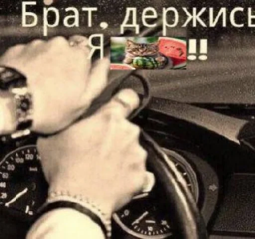 🍉 Стикер «Cat And Watermelon» для Telegram