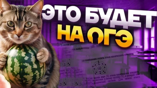 🍉 Стикер «Cat And Watermelon» для Telegram