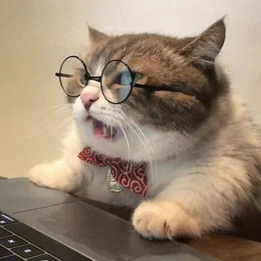 🤓 Стикер «Official» для Telegram