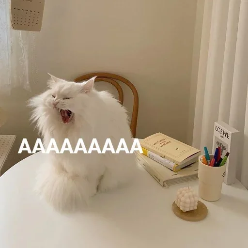 🤬 Стикер «Official» для Telegram