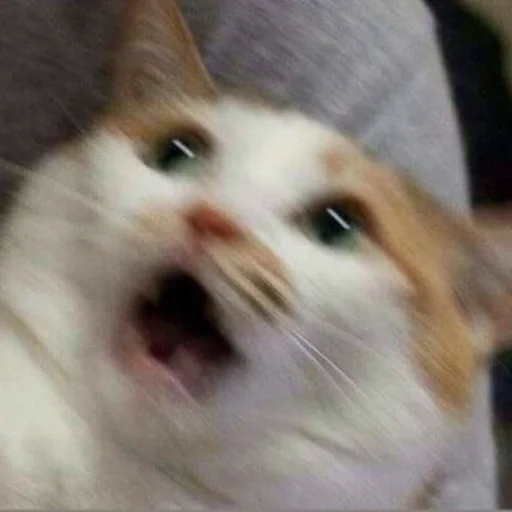 😯 Стикер «Official» для Telegram