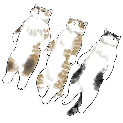 😴 Стикер «Cats Котики» для Telegram
