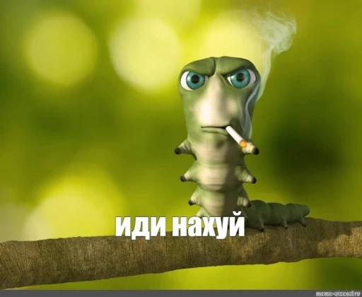 🤨 Стикер «caterpillar gif» для Telegram