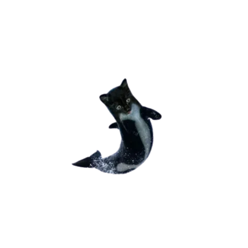 🤩 Стикер «Cat Faces» для Telegram