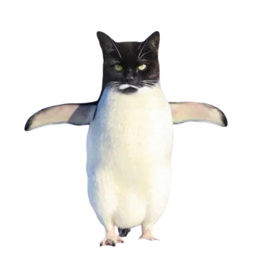 😚 Стикер «Cat Faces» для Telegram
