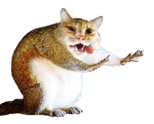 😚 Стикер «Cat Faces» для Telegram