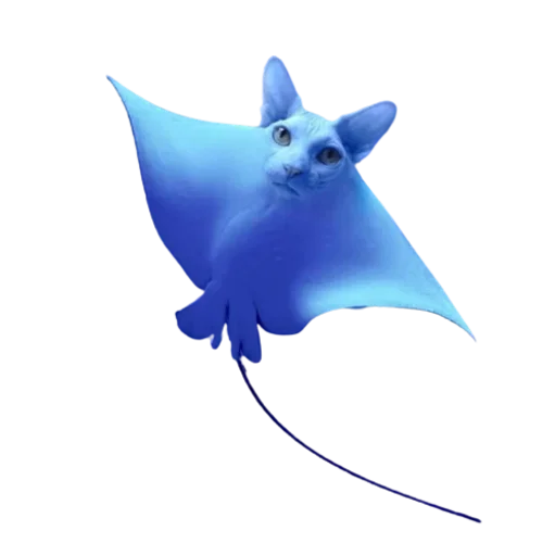🤪 Стикер «Cat Faces» для Telegram