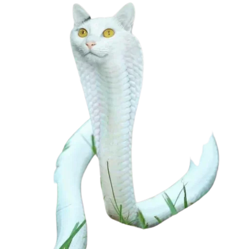 🤩 Стикер «Cat Faces» для Telegram