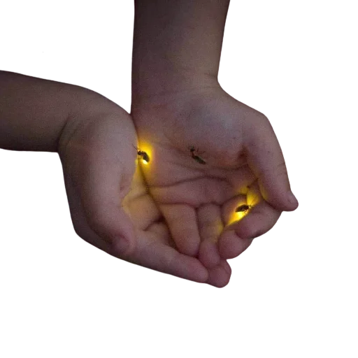 🔦 Стикер «Random Aesthetics» для Telegram