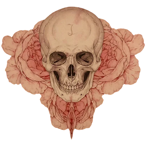 💀 Стикер «Takato Yamamoto» для Telegram