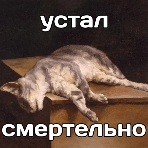 😵 Стикер «катарсис фразы» для Telegram